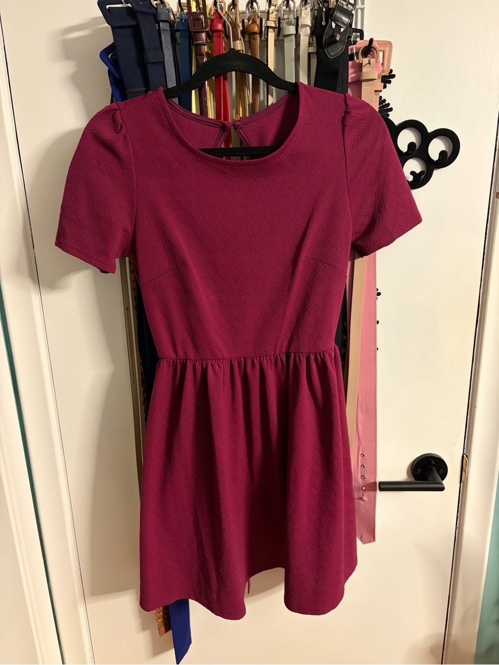 Fit and Flare Mini Dress in Raspberry